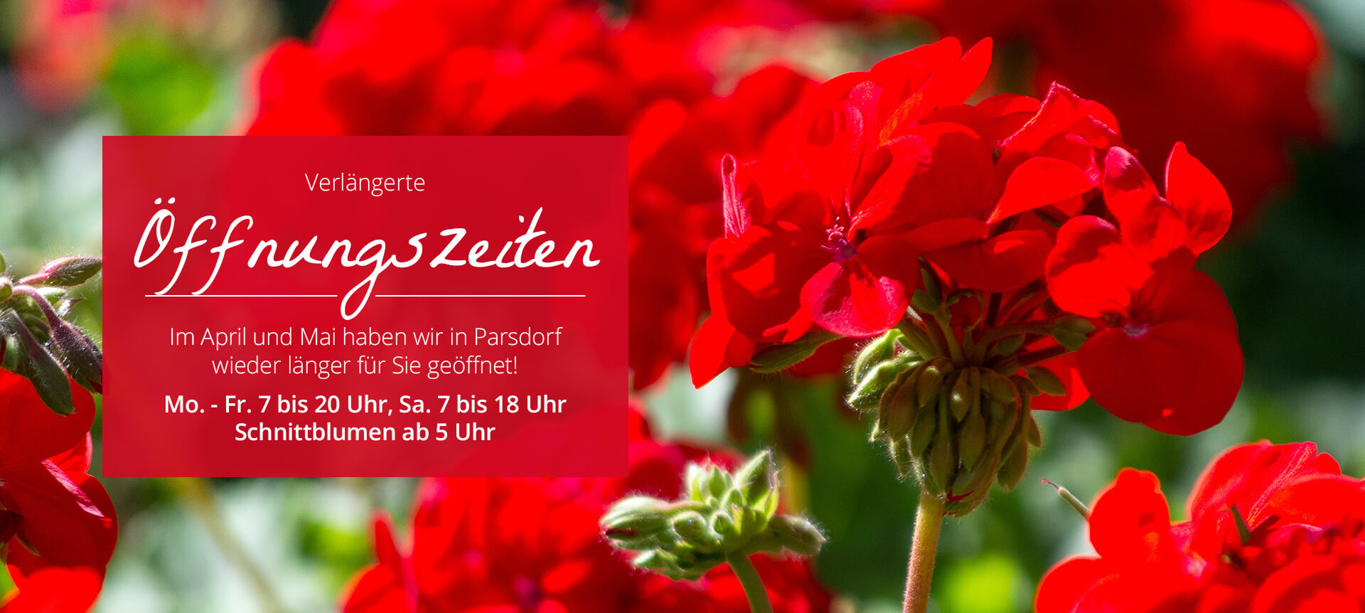 Bayerische Blumen Zentrale Saison Öffnungszeiten Parsdorf  