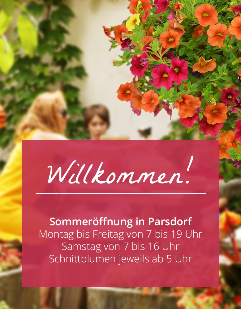 Blumengrosshandel I Floristikgrosshandel I Dekorationsgrosshandel I Bayerische Blumen Zentrale