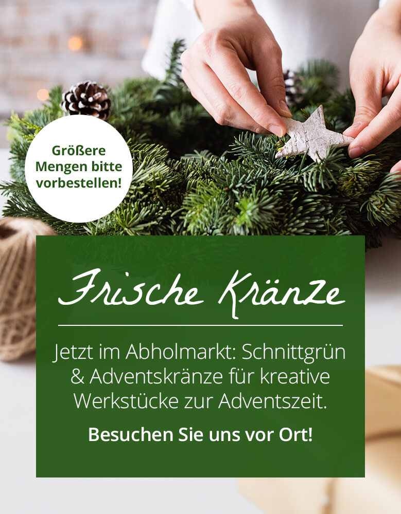 Schnittgrün und frische Adventskränze jetzt im Abholmarkt verfügbar!