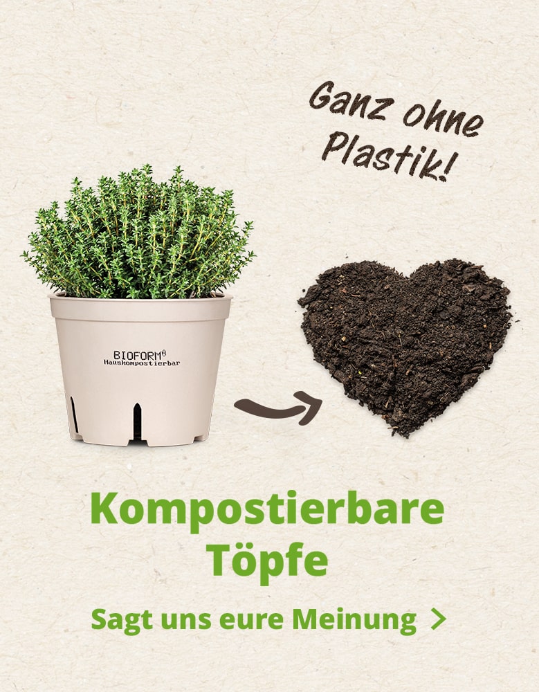 Bayerische Blumen Zentrale Umfrage Blumentöpfe kompostierbar 