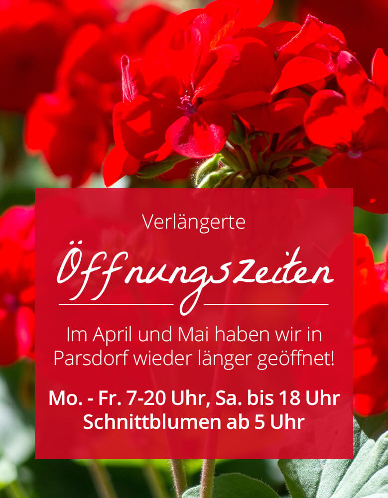 Bayerische Blumen Zentrale Saison Öffnungszeiten Parsdorf  