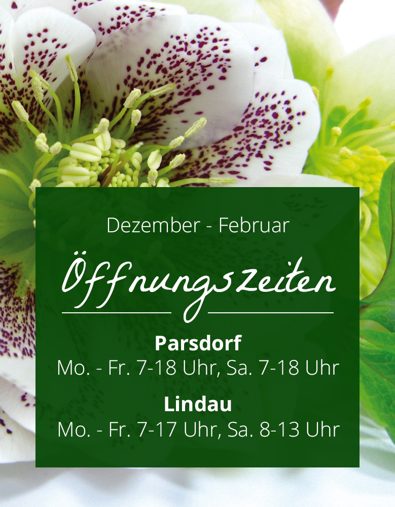 Bayerische Blumen Zentralen Öffnungszeiten