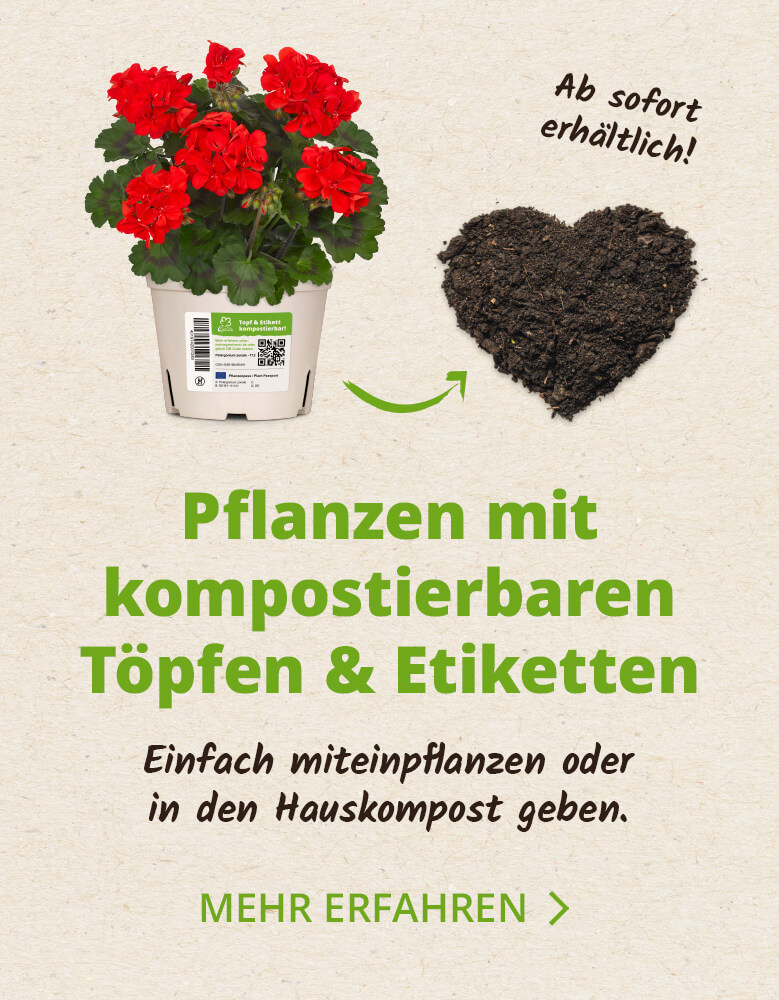 Absofort erhältlich: Pflanzen mit kompostierbaren Töpfen & Etiketten