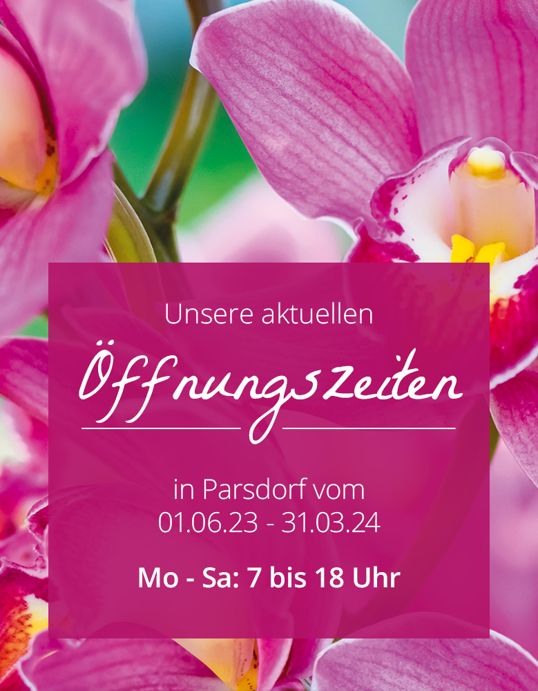 Elegantes Blumen Zentrale Parsdorf Offnungszeiten Fotos