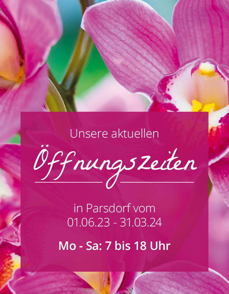 Bayerische Blumen Zentrale Öffnungszeiten