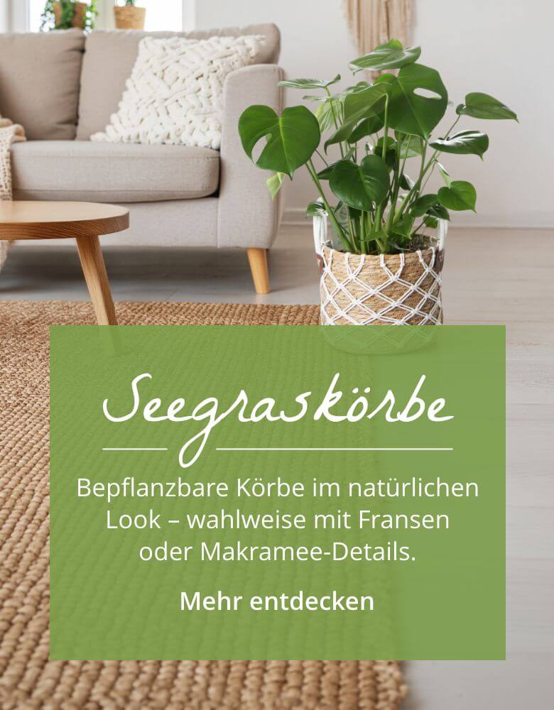 Bepflanzbare Seegraskörbe im natürlichen Look