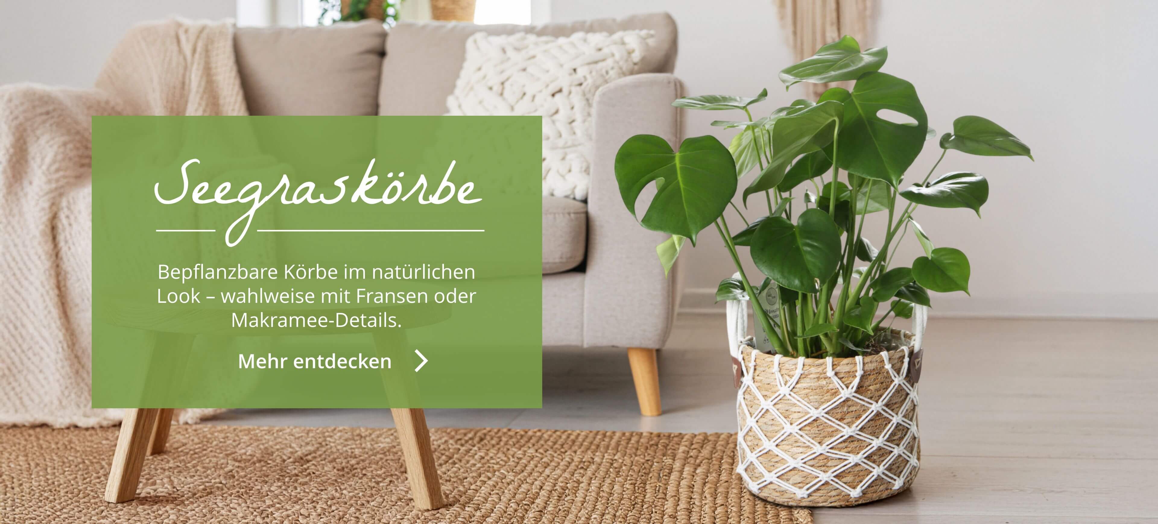 Bepflanzbare Seegraskörbe im natürlichen Look