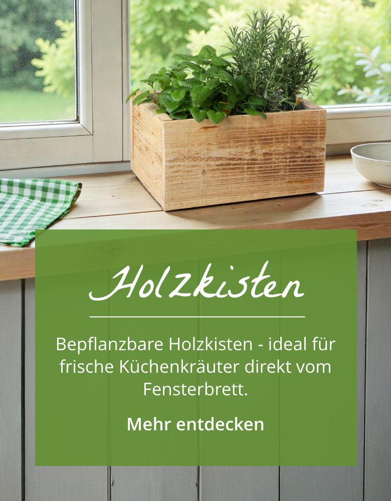 Bepflanzbare Holzkisten für Küchenkräuter