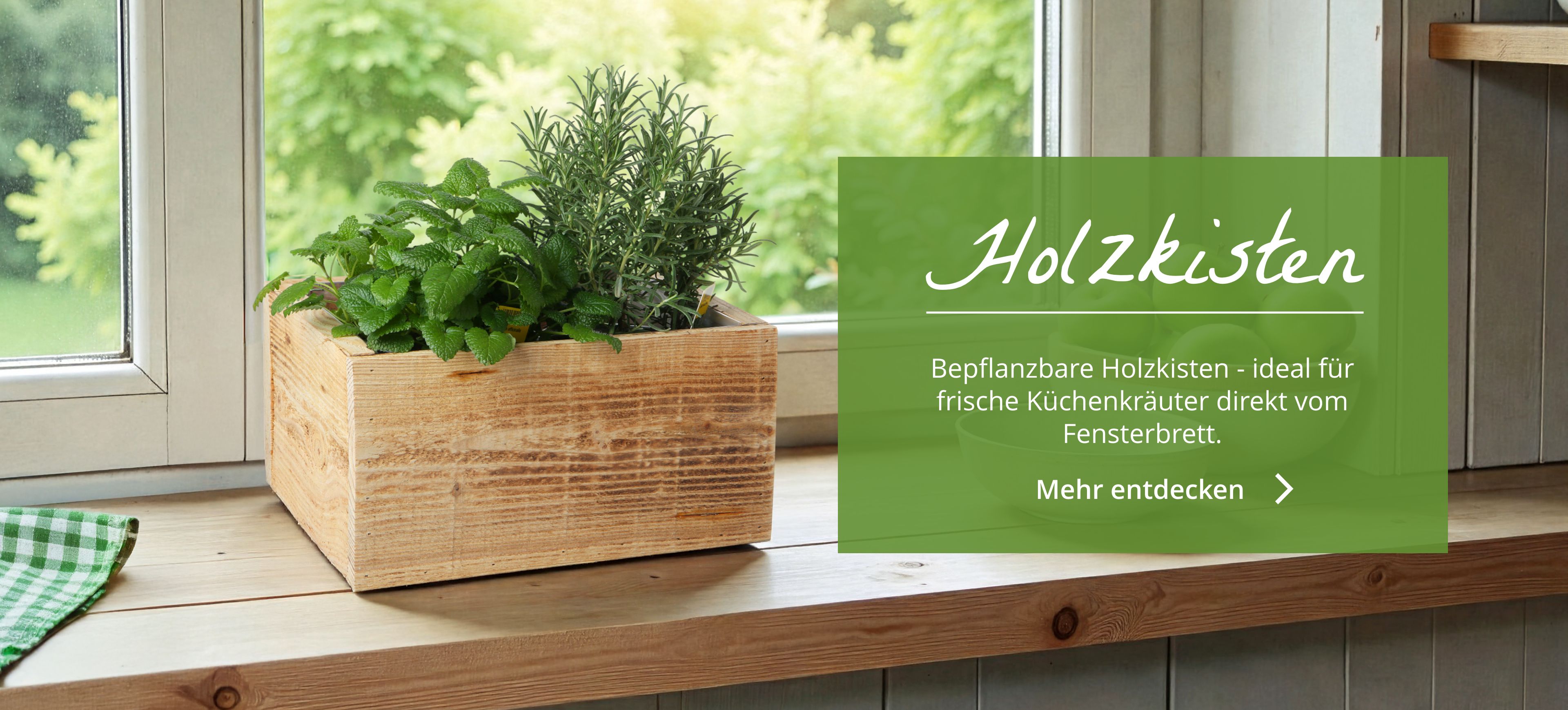 Bepflanzbare Holzkisten für Küchenkräuter
