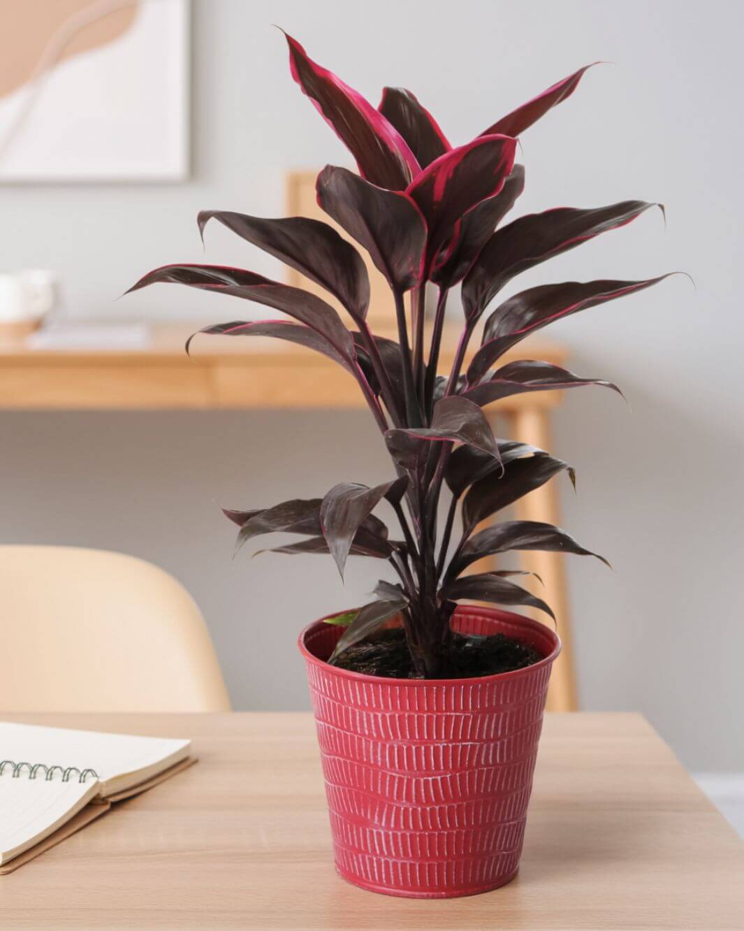 Schlichte Blechgefäße mit klarer Struktur – ideal für kreative Dekorationen und zeitlose Pflanzenarrangements.