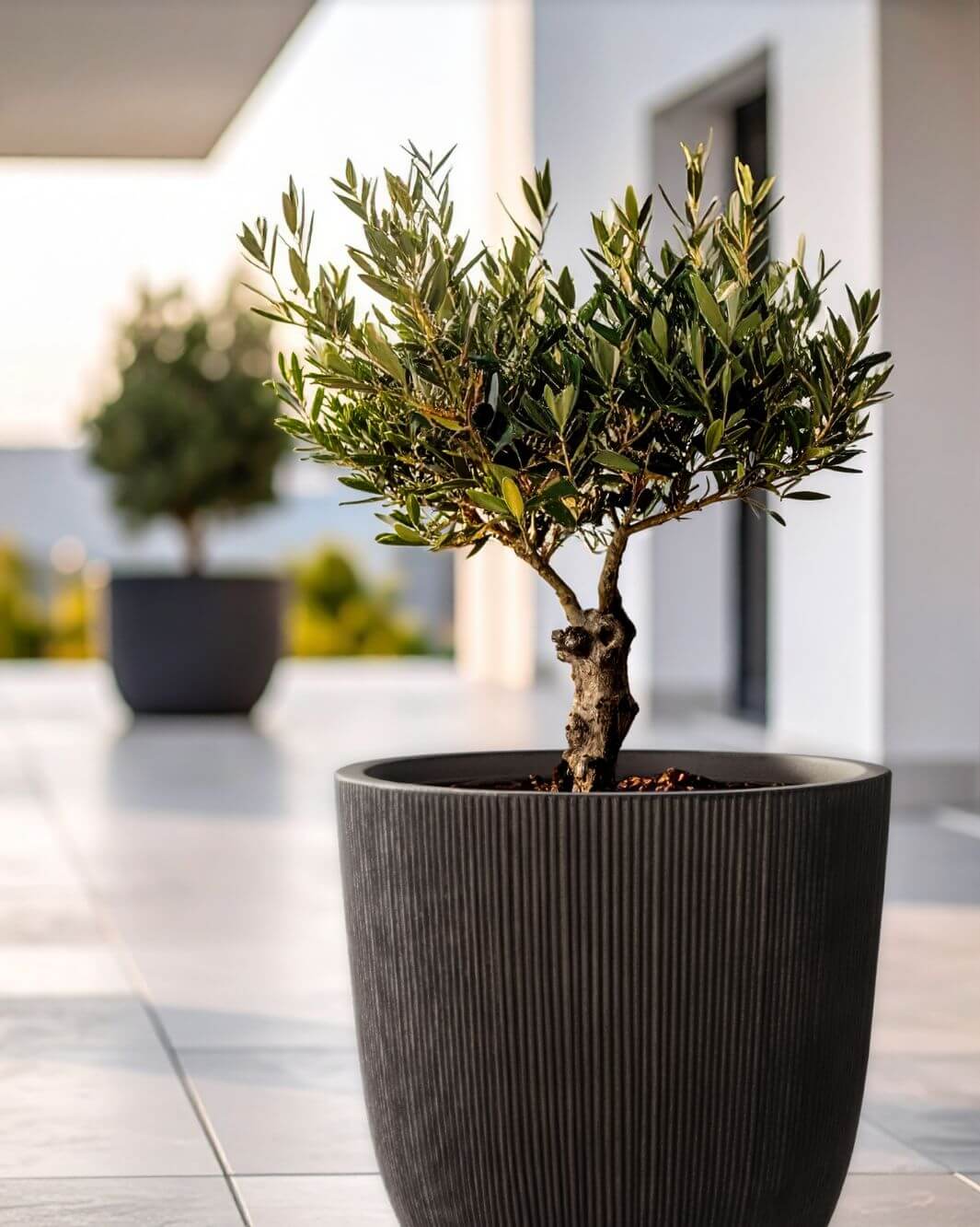 Leicht, Frost- und UV-beständig und damit ideal für den Außenbereich geeignet: Kompositgefäße in schlichten Designs