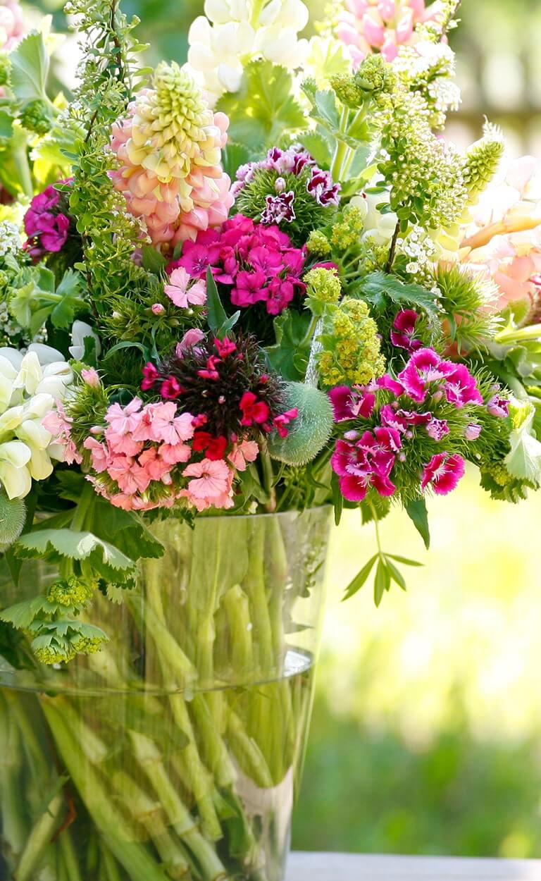 In unserem Schnittblumen Großhandel finden Sie regionale Schnittblumen und fair trade Rosen in sehr schöner Auswahl.